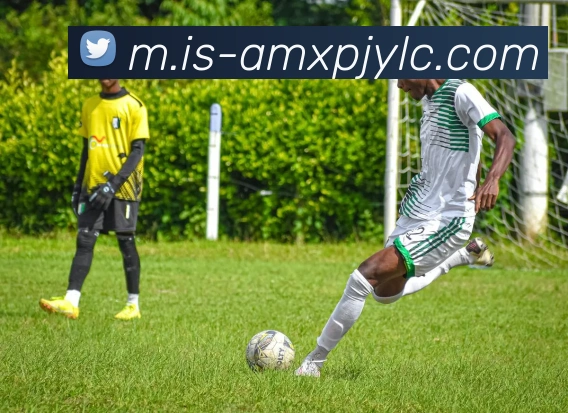 新葡京娱乐发展历程